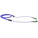 LETLSCA2-004-0 - SERVICE CABLE CON.  MONOMODO (9/125) G657A2 MPO12-APC(M)/MPO12-APC(M) 15,0M 12F UT LSZH AZUL TIPO B - 33902441 - LIGHTERA
