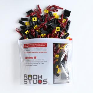 RSFSNYP1-001-0 - KIT FIXADORES EM NYLON TOOL LESS PARA RACK 19" 20KG (PCT 100) - RSL2.2R100-S2 - RACK STUDS