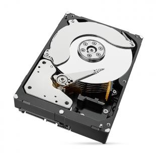 SEHDSK04-001-0 - HDD SKYHAWK 4TB 3,5 SATA 6GB 256MB CACHE - ST4000VX016 - SEAGATE