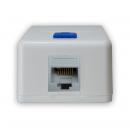 61000033 - CAIXA DE SUPERFICIE COM 01 PORTA RJ-45 BRANCA - DN-6020900010 - D-NET