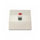 DNCNEP33-002-0 - ESPELHO PLASTICO 3X3 P/ 1 RJ-45 EM ABS BEGE - DN-6000500015 - D-NET